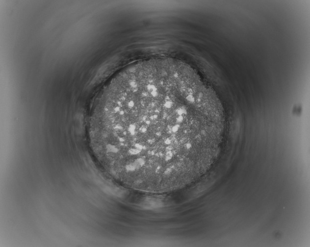 X0000113620757200910091531