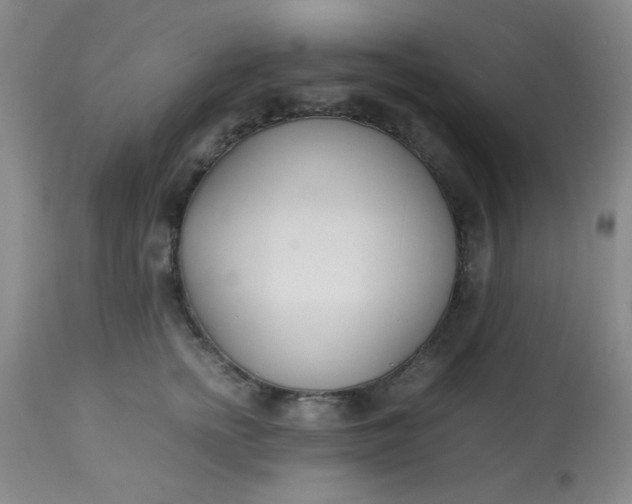 X0000113620758200910091531