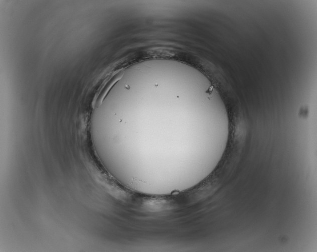 X0000113620759200910091531