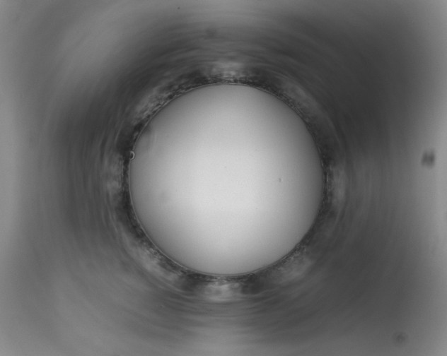 X0000113620760200910091531