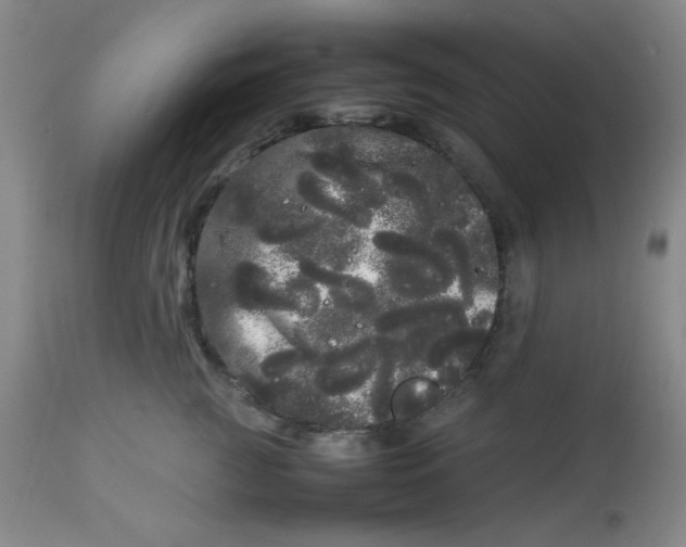 X0000113620761200910091531