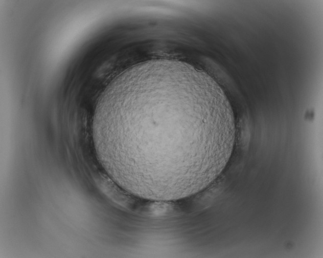 X0000113620762200910091531