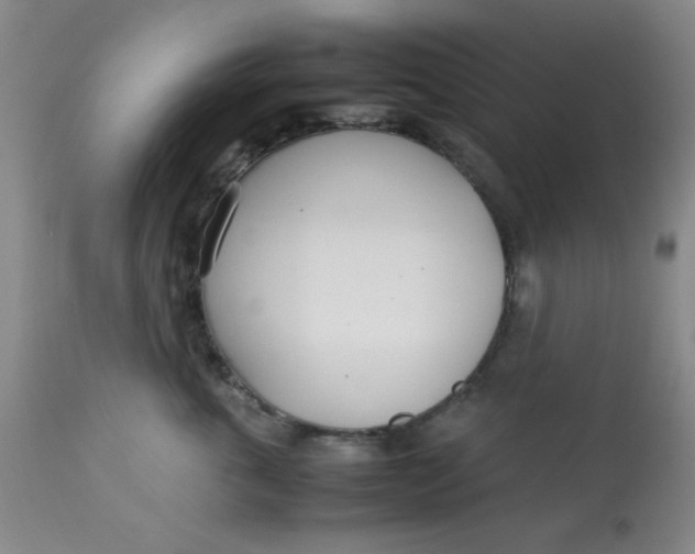 X0000113620763200910091531