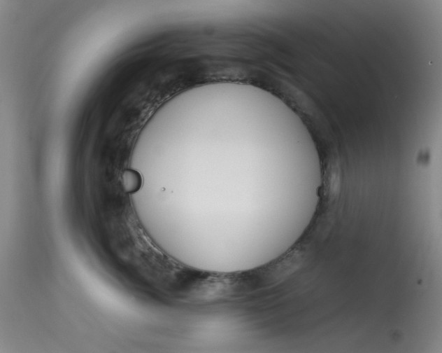 X0000113620764200910091531