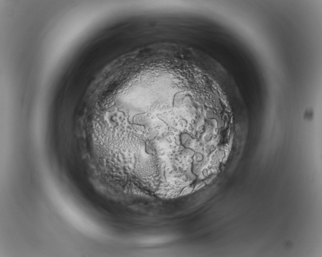 X0000113620765200910091531