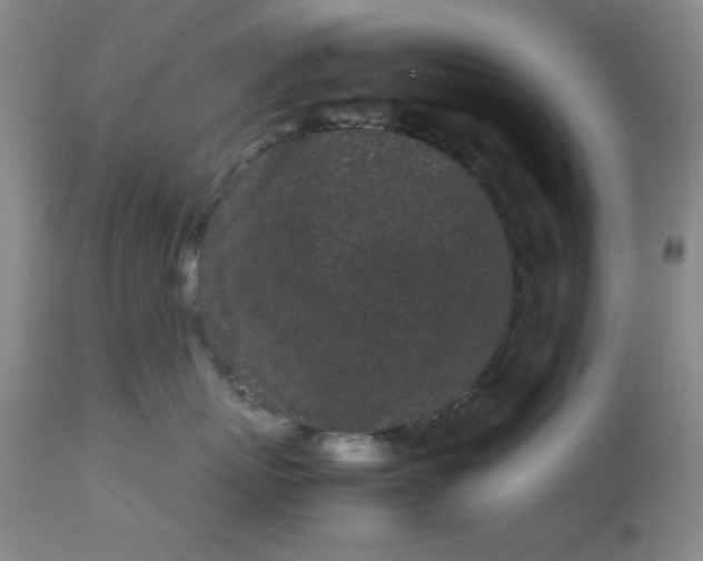 X0000113620767200910091531