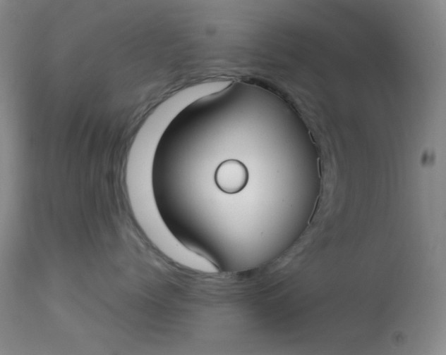 X0000113620768200910091531