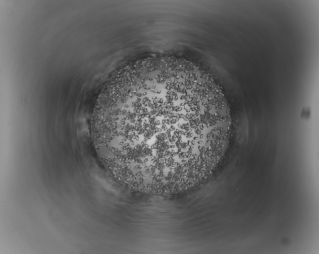 X0000113620770200910091530