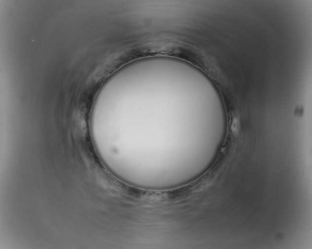 X0000113620771200910091530