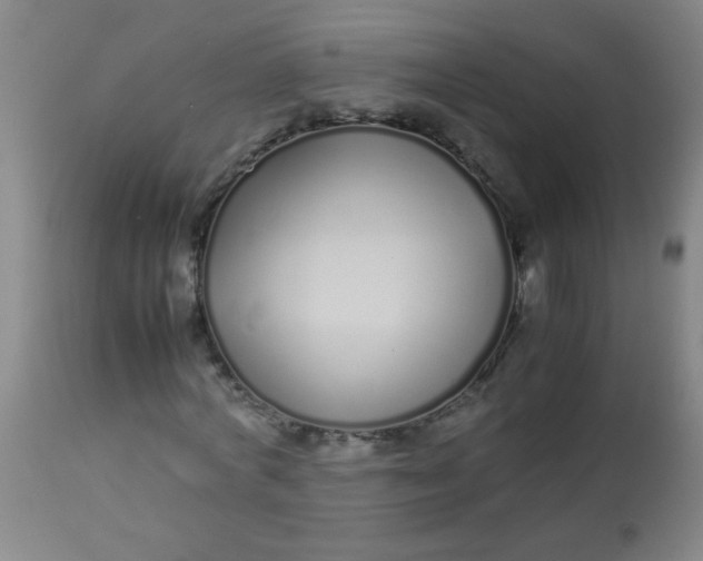 X0000113620772200910091530