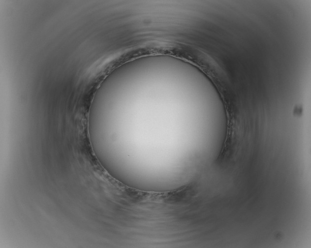 X0000113620773200910091530