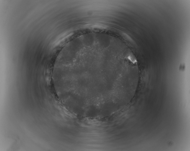 X0000113620774200910091530