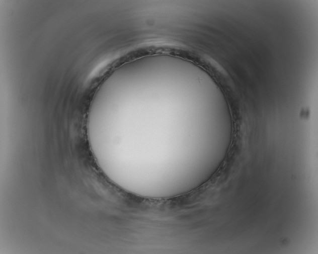 X0000113620775200910091530