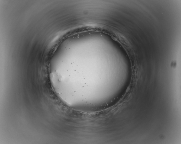 X0000113620776200910091530