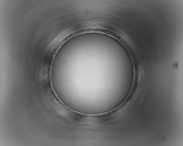 X0000113620777200910091530