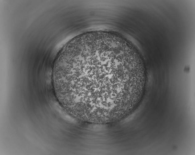 X0000113620778200910091530