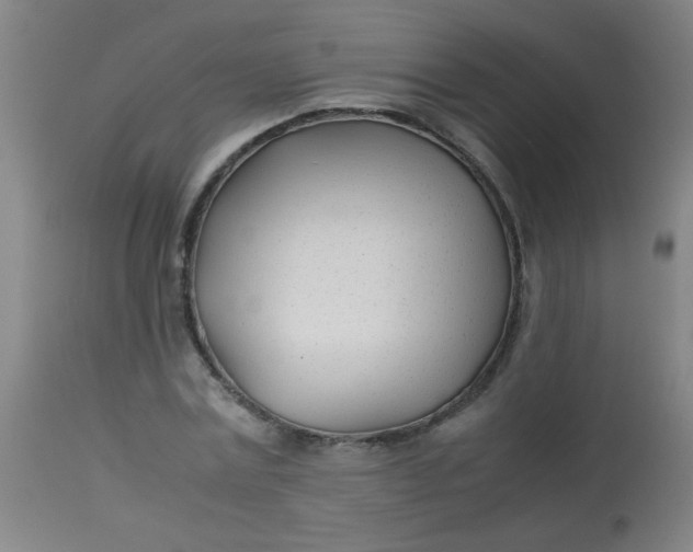 X0000113620779200910091530
