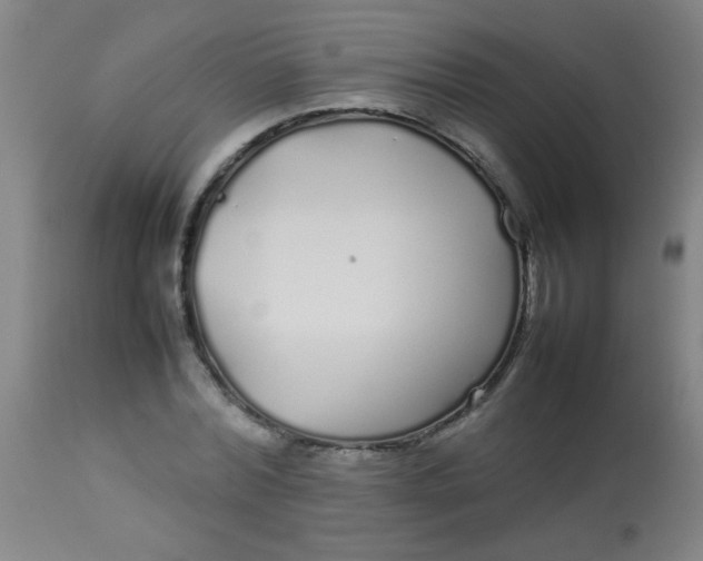 X0000113620780200910091530