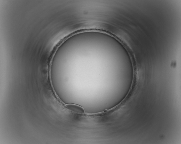 X0000113620781200910091530