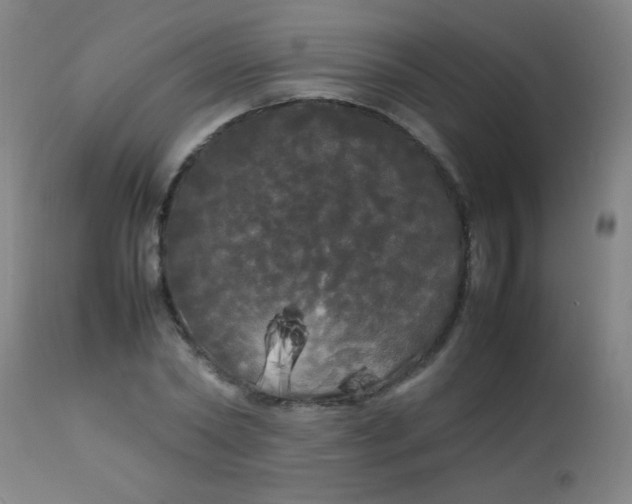 X0000113620782200910091530