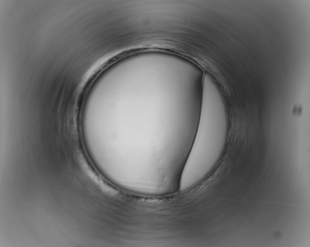 X0000113620784200910091530