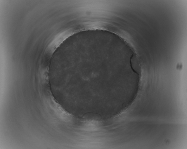 X0000113620785200910091530