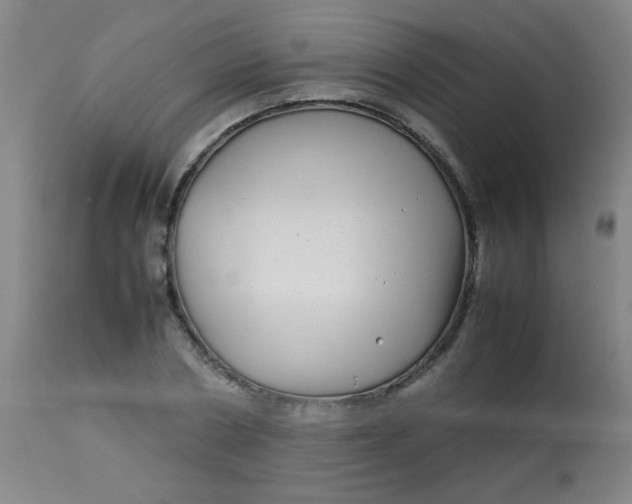 X0000113620786200910091530