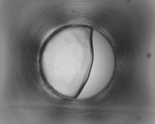 X0000113620788200910091530