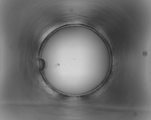 X0000113620789200910091530