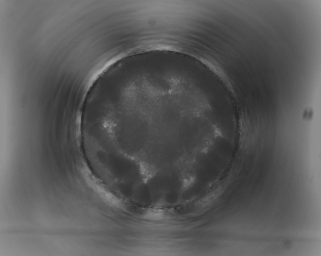X0000113620790200910091530