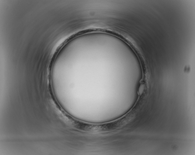 X0000113620791200910091530