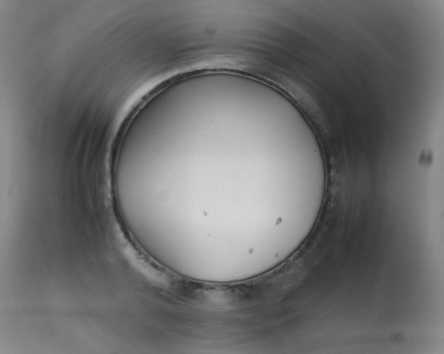 X0000113620792200910091530
