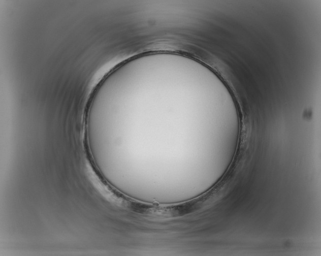 X0000113620795200910091530