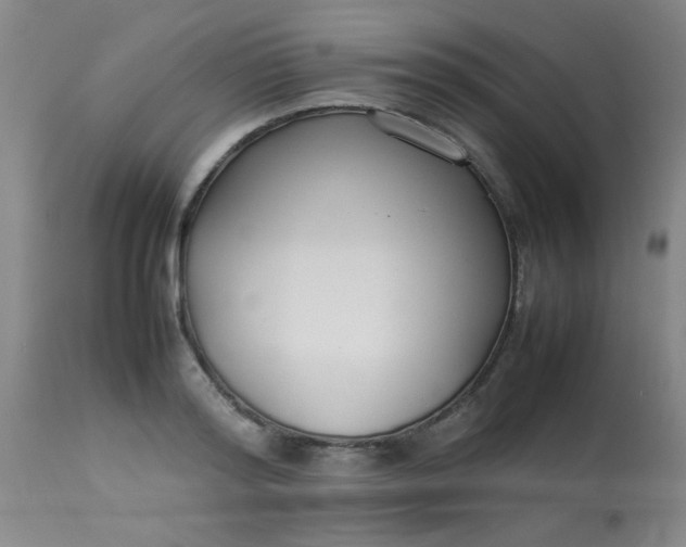 X0000113620796200910091530