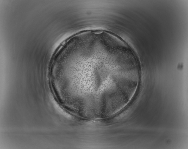 X0000113620797200910091530