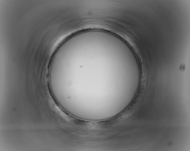 X0000113620799200910091530