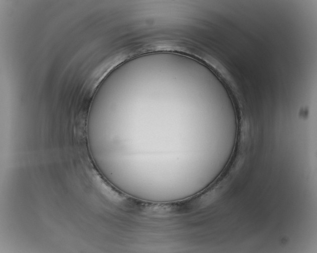 X0000113620801200910091530