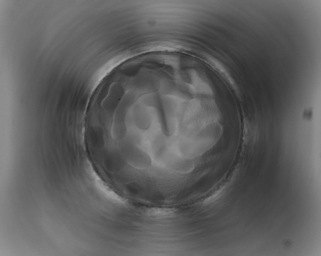X0000113620802200910091530