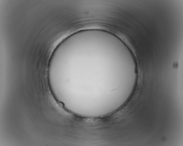 X0000113620805200910091530