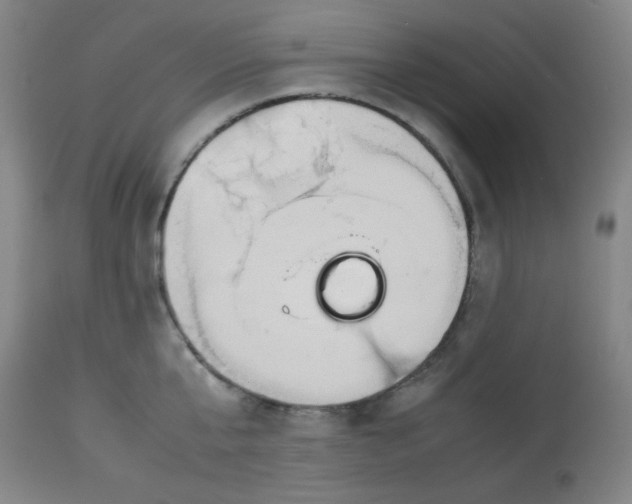 X0000113620807200910091530