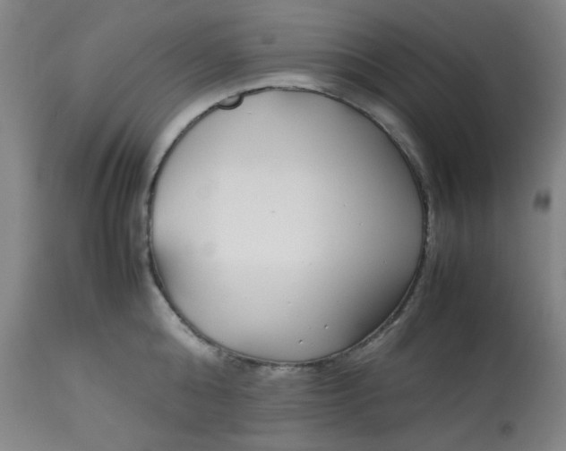 X0000113620808200910091530