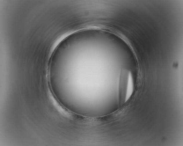 X0000113620811200910091530