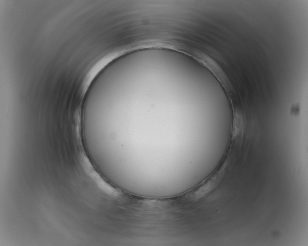 X0000113620812200910091530