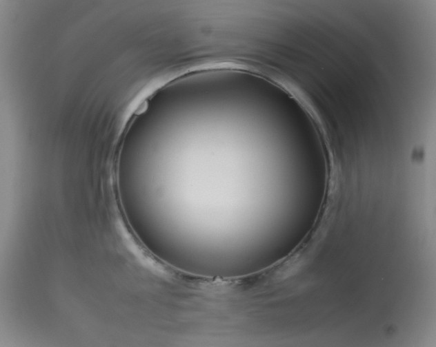 X0000113620813200910091530