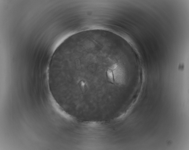 X0000113620814200910091530