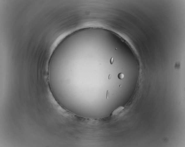 X0000113620815200910091530