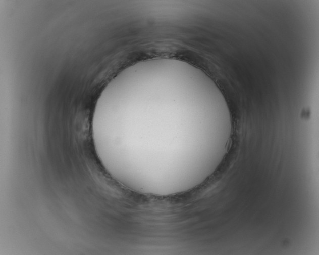 X0000113620818200910091529