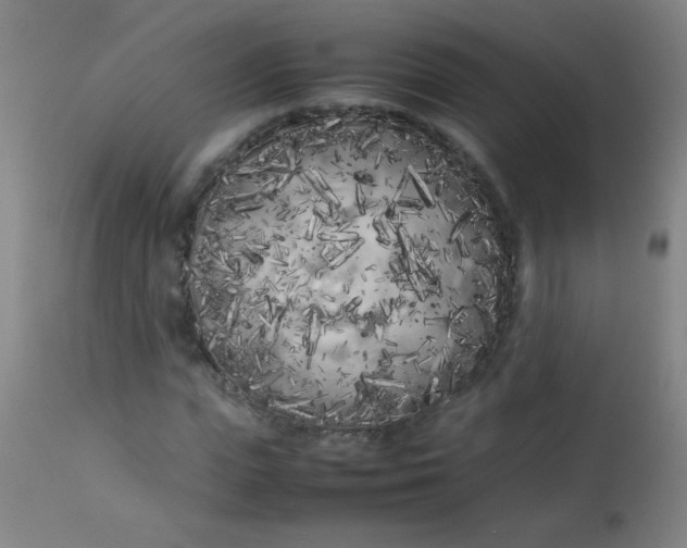 X0000113620823200910091529