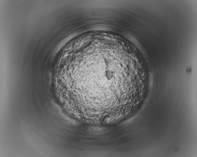 X0000113620829200910091529