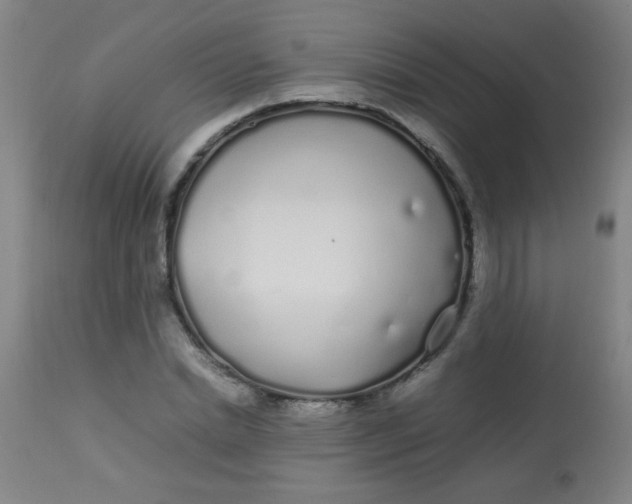 X0000113620830200910091529